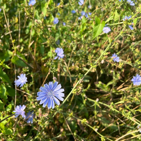 Meet your Posher, Sarah - Picture 3 of 9